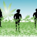 President Peru wil medicinale cannabis legaliseren