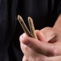 Column - Het Trekt Uw Plant café