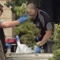 Australiër bouwt wietbunker in de tuin