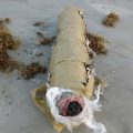 Enorme wietsigaar op het strand