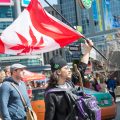 Totale wietlegalisering in Canada op 1 juli 2018