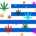 Eindelijk... vanaf juli legale wiet in apotheken Uruguay