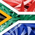 Rechter Zuid-Afrika: 'Wietverbod is ongrondwettelijk'