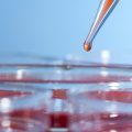 Britse studie naar effect CBD op hersentumoren bij kinderen