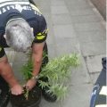 Politie, hou op met dat pesten van hobbykwekers!