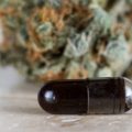 Onderzoek cannabispatiënten - 80% vindt CBD 'zeer effectief'