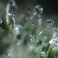 Doe jezelf een lol en hotbox je hoofd
