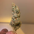 De beste anti-War on Drugs speech ooit