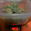 De beste anti-War on Drugs speech ooit