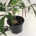 Test van Erik