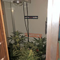 De 11 leukste stoner-videogames