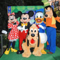 Disney World zet vrouw met CBD-olie 12 uur gevangen!