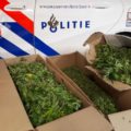 Auto in IJsselstein meurt als 'rijdende coffeeshop'