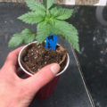 Test van Erik