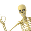 Uniek! Handgemaakte skull bongs van MamaJah