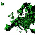 EU-drugsrapport: wietaanbod diverser én potenter