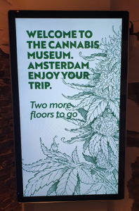 het cannabis museum amsterdam telt drie verdiepingen door cnnbs.nl