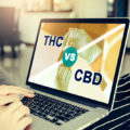 Rapport: CBD overtreft THC op legale markt