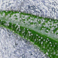 Test van Erik