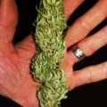 De beste anti-War on Drugs speech ooit