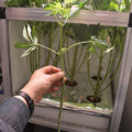 Test van Erik