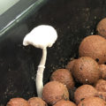 Test van Erik