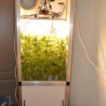 Doe jezelf een lol en hotbox je hoofd