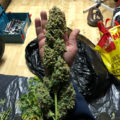 De beste anti-War on Drugs speech ooit