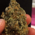 De 11 leukste stoner-videogames