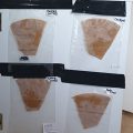 Mr.Veldman: Wietpas, toerist & shop