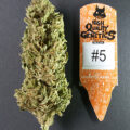 Video: Wat cannabis met creativiteit doet