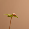Test van Erik