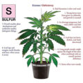 De beste anti-War on Drugs speech ooit