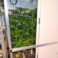 Doe jezelf een lol en hotbox je hoofd