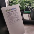 Grootste cannabis & kankeronderzoek ooit