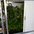 De beste anti-War on Drugs speech ooit