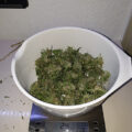 Test van Erik