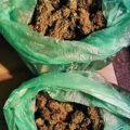 De beste anti-War on Drugs speech ooit