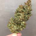 Test van Erik