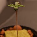 Test van Erik