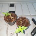 Test van Erik