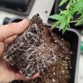 Test van Erik