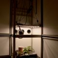 Mr.Veldman: Wietpas, toerist & shop