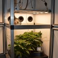 Mr.Veldman: Wietpas, toerist & shop