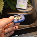 Grootste cannabis & kankeronderzoek ooit