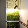 De onzin van het 'luie stoner' stereotype