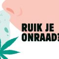 Hengelo jaagt burgers angst aan met 'Help hennepteelt de wijk uit'