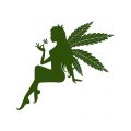 Medicinale cannabis • Mediwietsite Weekjournaal #17