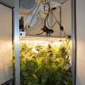De 11 leukste stoner-videogames