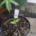 Test van Erik